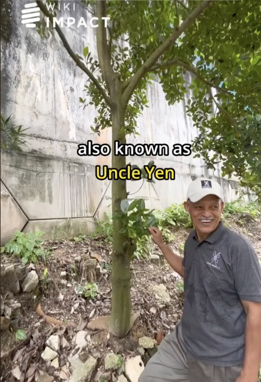 M'sian father sets up urban orchard to cope with his son's passing  5
