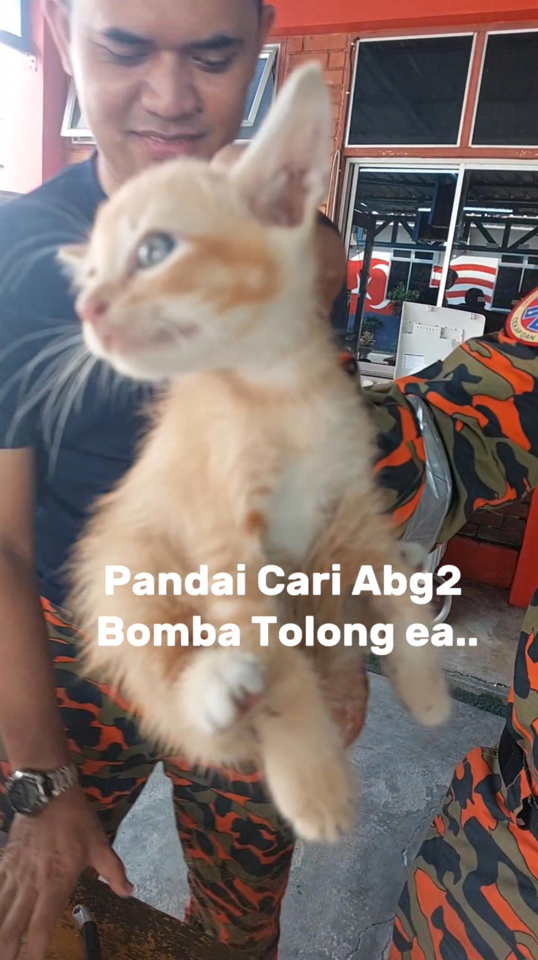 M’sian Firefighters Rescue Oyen With Head Stuck In Metal Ring & It Looks Completely Unbothered