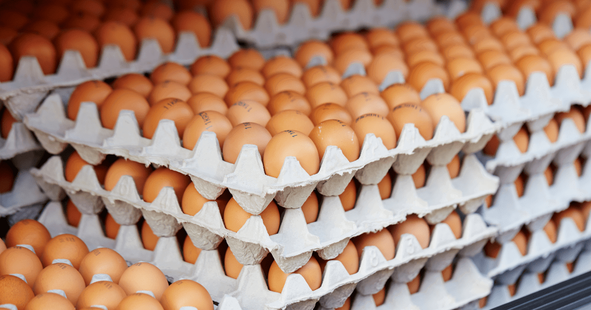 M’sian Gov’t To Introduce More Affordable ‘Special Grade Eggs’ As Part Of New Subsidy Restructuring