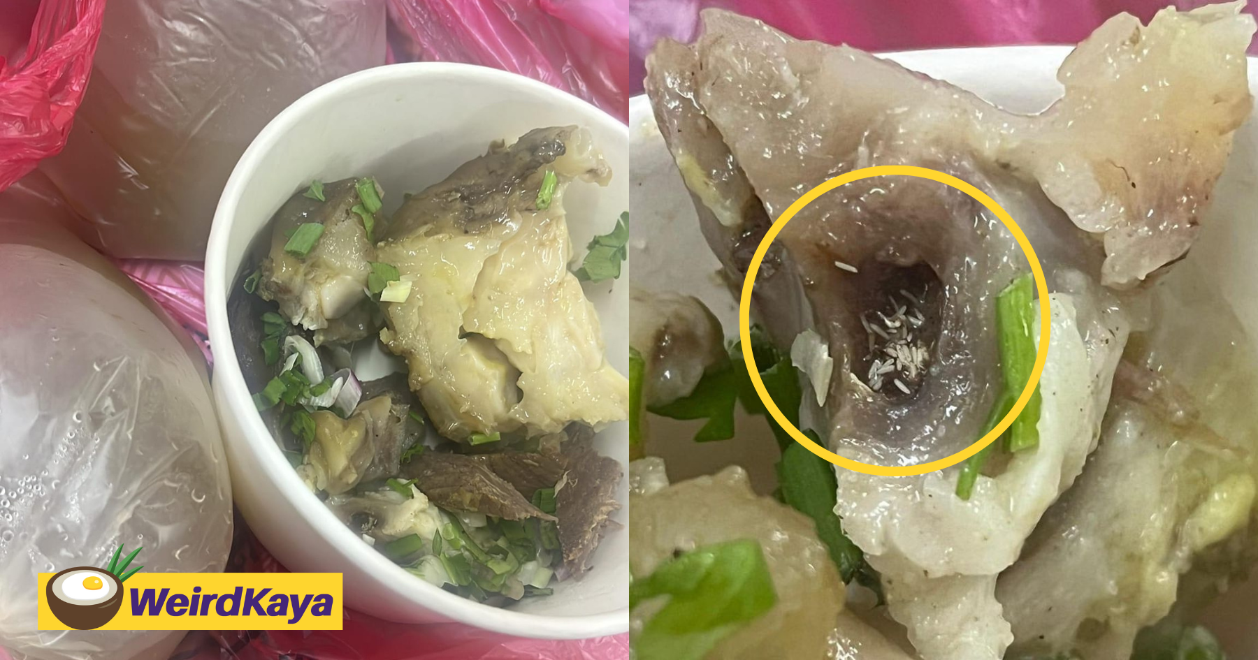 M'sian Horrified To See Maggots Inside Soup He Bought From Ramadan Bazaar At Melaka