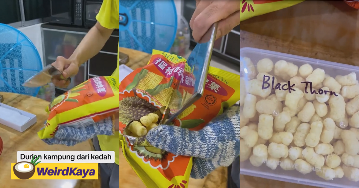 M'sian inspects and packs durian snack like it was the real deal | weirdkaya