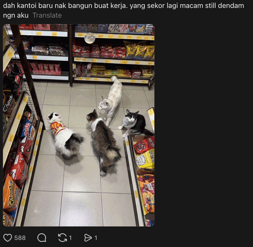 M’sian Jokes About Reporting 'Lazy Shell Cat Staff’ As 4 Of Them Were Caught Lepak-ing In Store