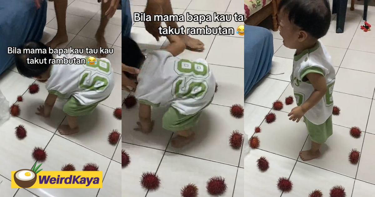 M'sian kid cries non-stop after he's being 'surrounded' by rambutans | weirdkaya