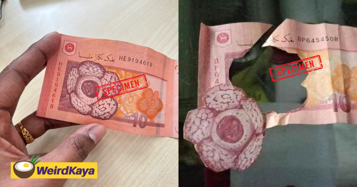 M'sian kid cuts rafflesia from rm10 note after teacher asks for photos of it | weirdkaya
