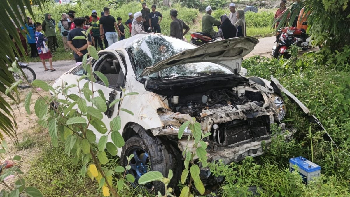 M'sian man crashes car while trying to avoid monkey