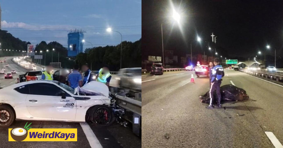 M'sian man dies after car collides with cow on north-south expressway | weirdkaya