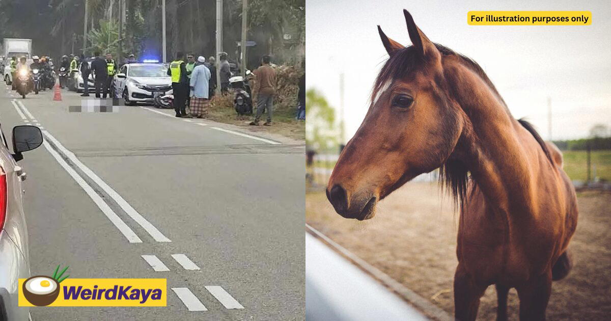 M’sian Man Dies After Crashing Into Horse That Suddenly Ran Across Road In Melaka