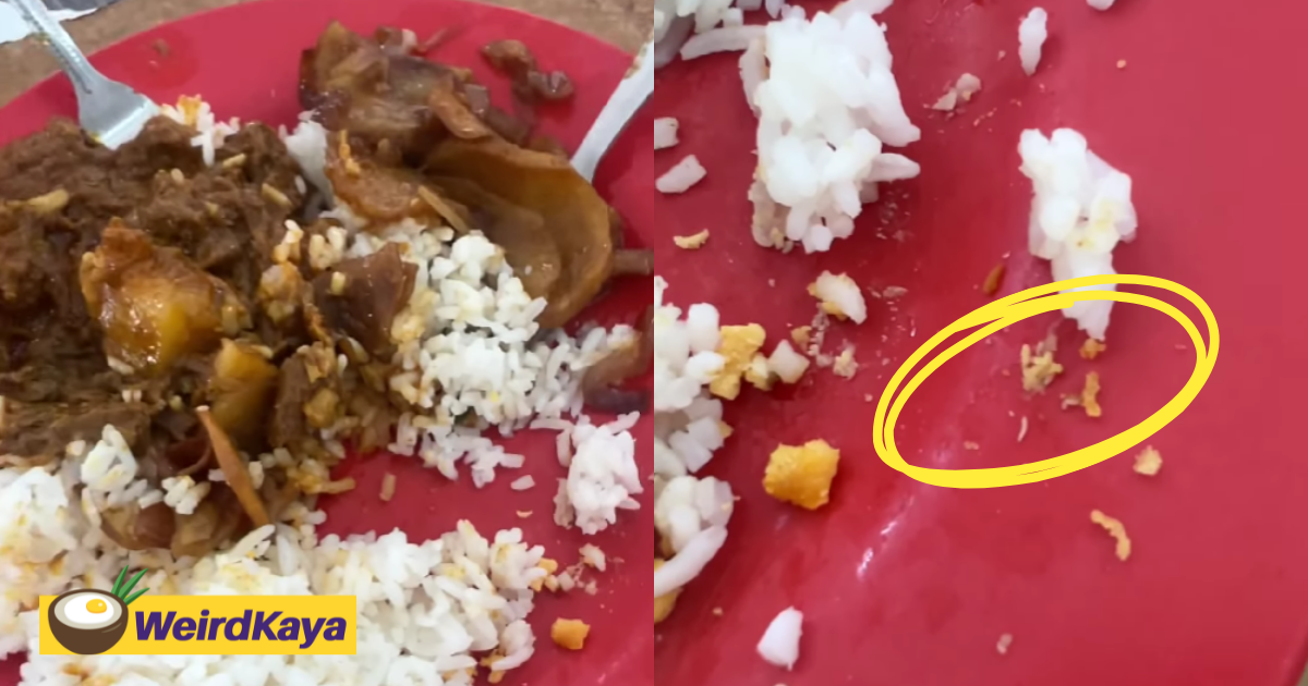 M'sian man disgusted to find maggots inside economy rice meal bought from johor stall