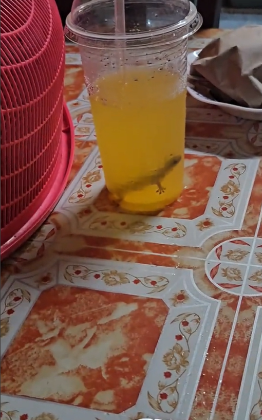 M'sian man finds lizard inside drink