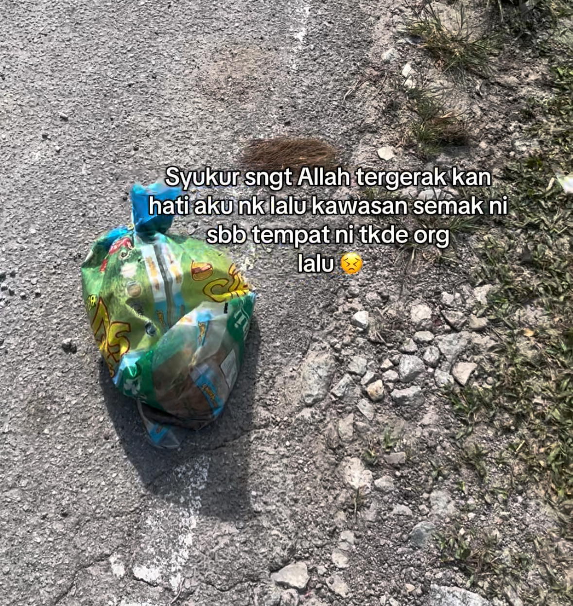 M’sian Man Finds Starving Cat Stuffed In Rice Sack, Left To Die By The Roadside