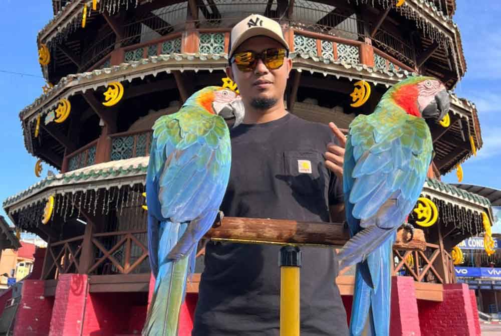 Msian man holding two parrots