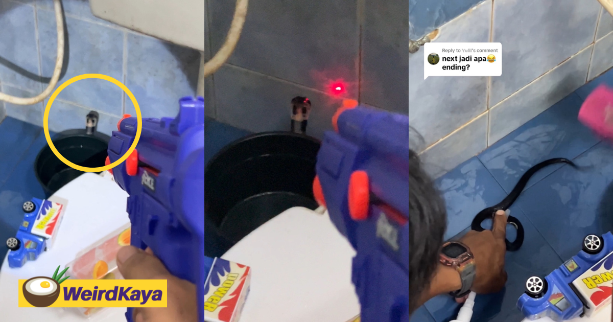 M'sian Man Playfully Confronts Snake Inside Toilet With Toy Gun, Leaves Netizens Amused