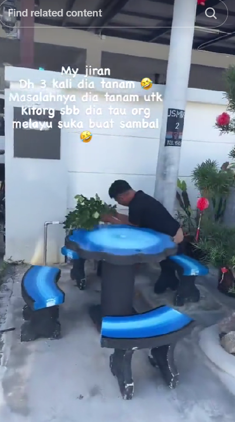 M'sian man quietly helps neighbour take care of her lime tree whenever she's not around | weirdkaya