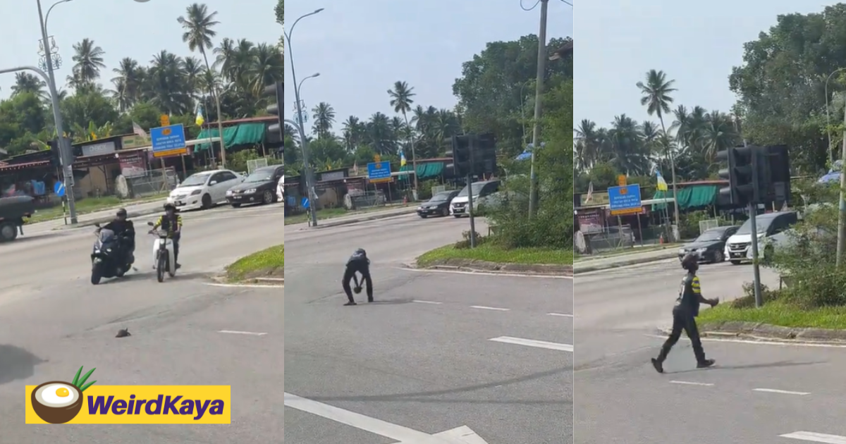 M'sian Motorcyclist Stops to Rescue Tortoise Crossing Busy Road in Penang