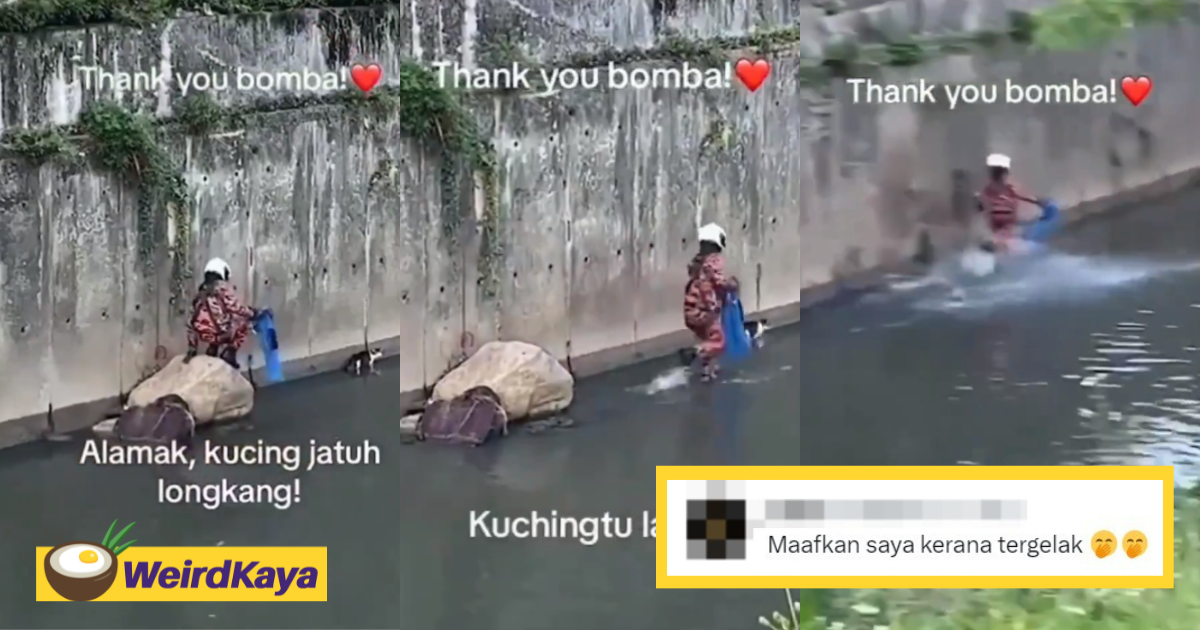 M'sian netizens amused by cat running away from abang bomba trying to save it from drain | weirdkaya