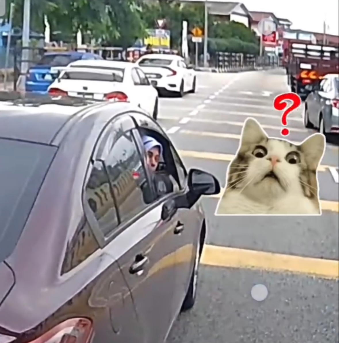 M’sian Nurse Double Parks In Front Of School, Responds With Middle Finger When Told to Move