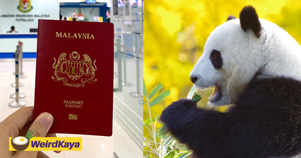 M'sian passport holder can now travel to china visa-free for up to 15 days | weirdkaya
