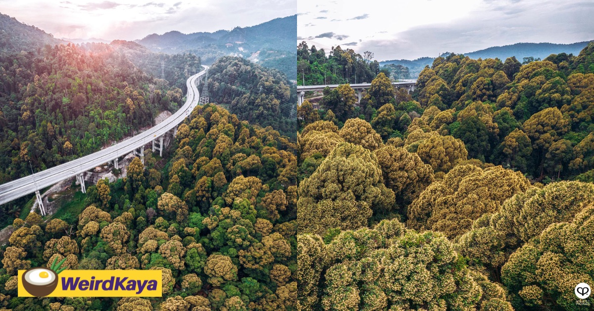 M'sian photographer amazes netizens with stunning shots of rawang bypass shared by tourism malaysia  | weirdkaya