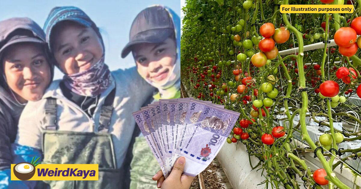 M’sian Siblings Earn Over RM13K Monthly Doing Part-Time Farm Work In Melbourne