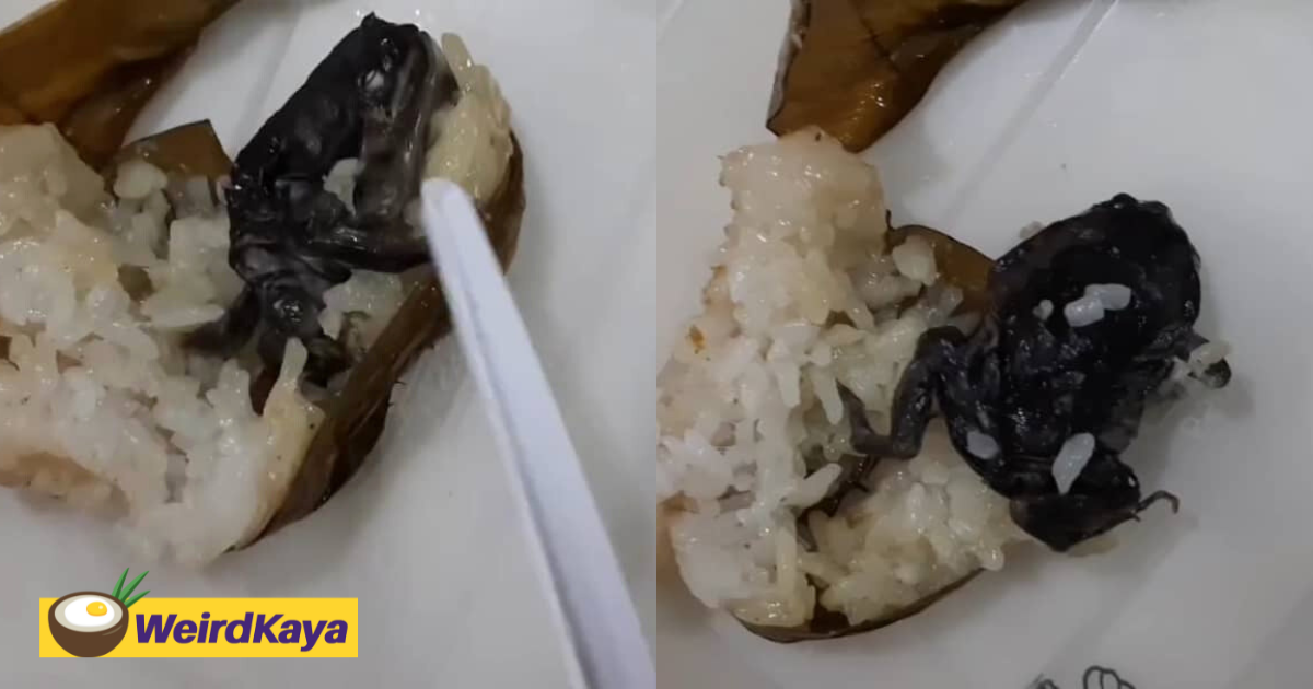 M'sian stunned to find dead frog inside lemang after almost finishing the entire stick | weirdkaya