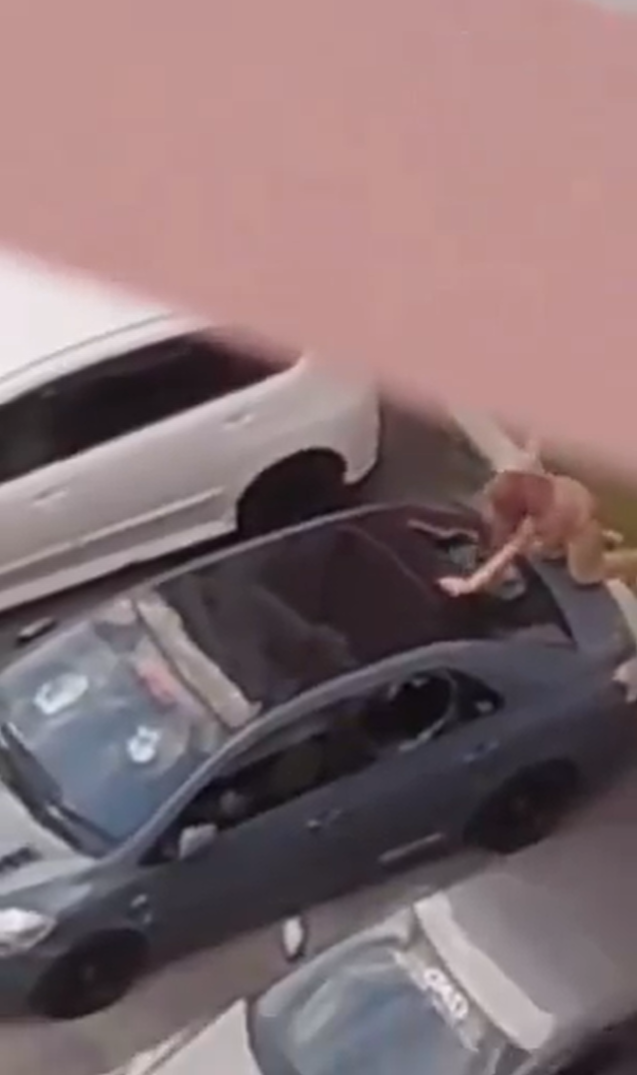 M'sian woman climbs on top of car to smash window