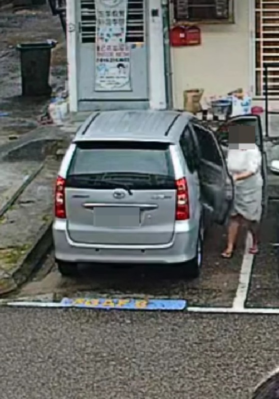 Msian woman closing car door