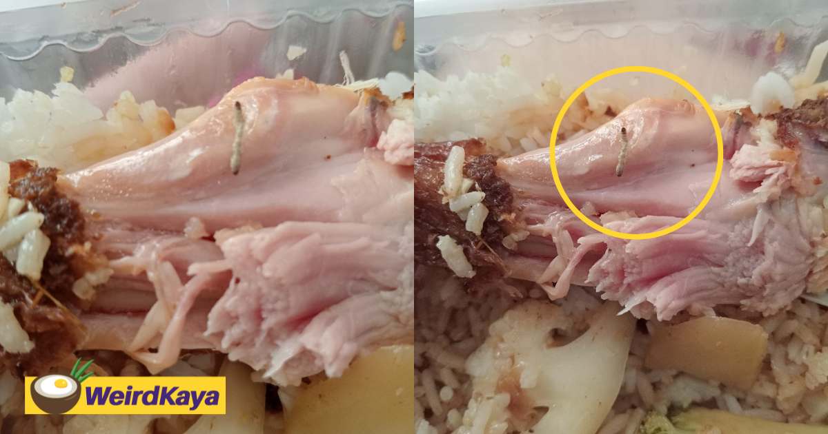 M’sian Woman Disgusted To Find Maggot Inside Fried Chicken Bought From Puchong Stall