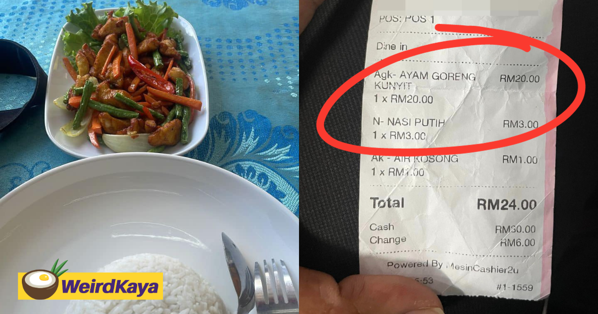 M'sian woman infuriated over being charged rm23 for nasi ayam goreng kunyit in langkawi | weirdkaya