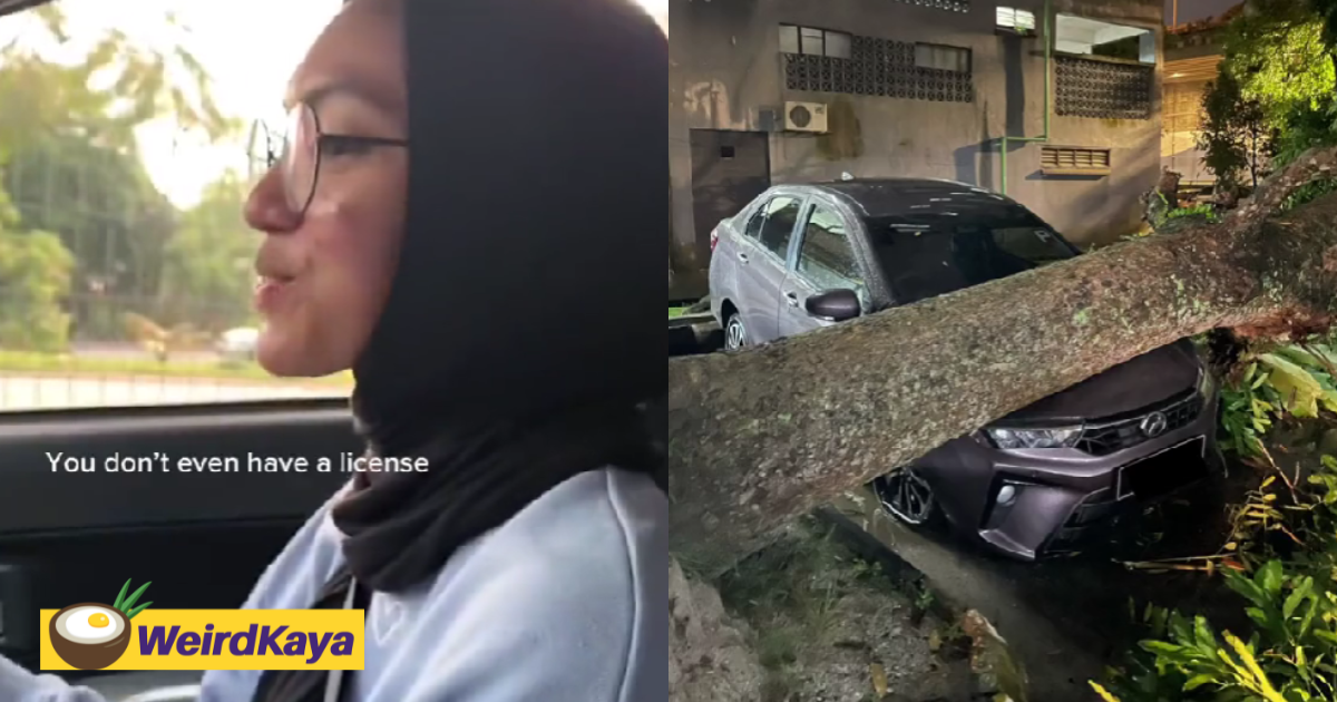 M'sian woman receives new bezza, only to have it crushed by a tree nearly 2 months later | weirdkaya