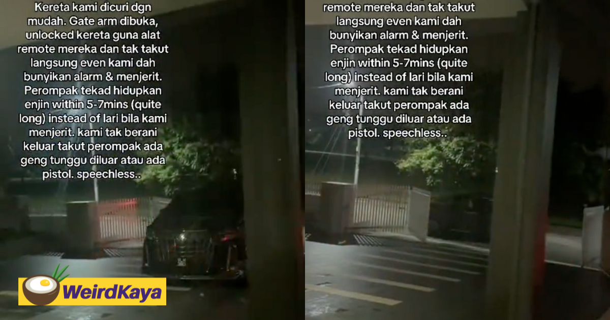 M'sian woman shocked by how her mpv was driven away by robbers in just 7 mins | weirdkaya