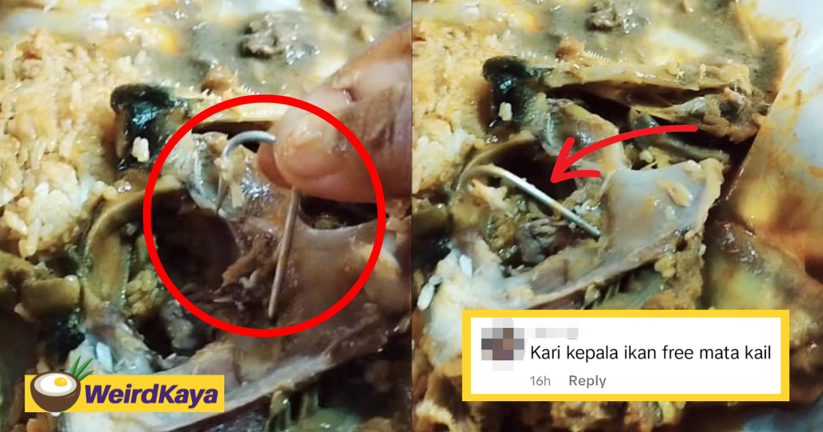 M'sian woman shocked to find fishhook inside her meal while eating it halfway | weirdkaya