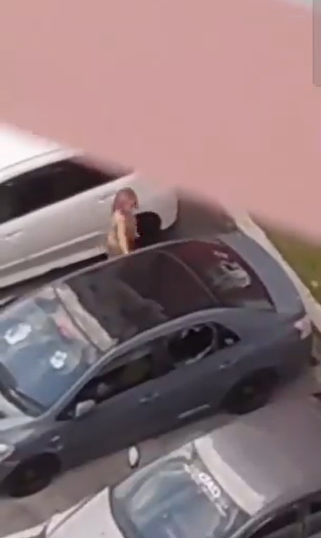 M'sian woman smashes car window with her bare hands