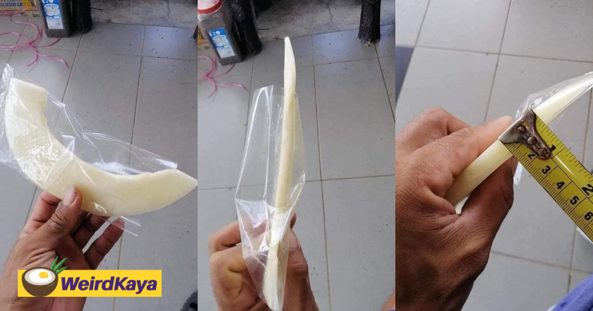 M'sian woman stunned by super thin honeydew slice which measured 1. 1cm | weirdkaya