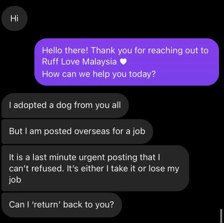 M'sian woman wants to return dog
