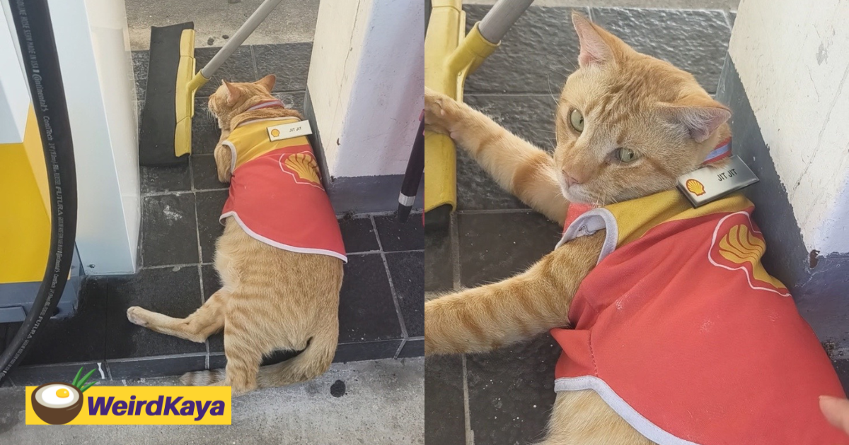 M'sians Amused By Oyen 'Employee' That Refused To Help Fill Up Gas At Petrol Station