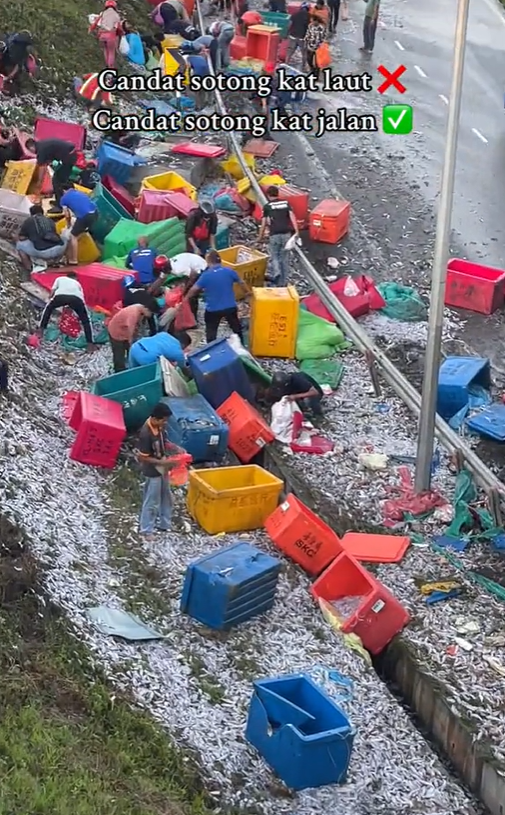 M'sians picking sotong from the roadside