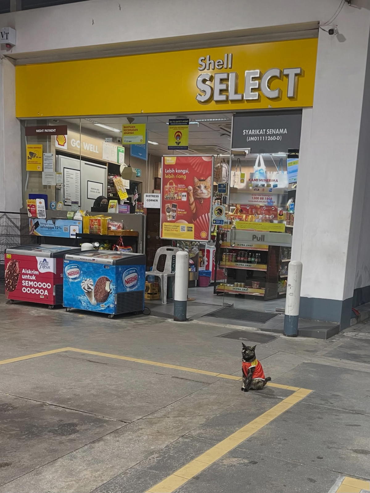 M’sians Say This Cat Goes On Duty To “Catch” SG-Registered Cars Trying To Pump RON95