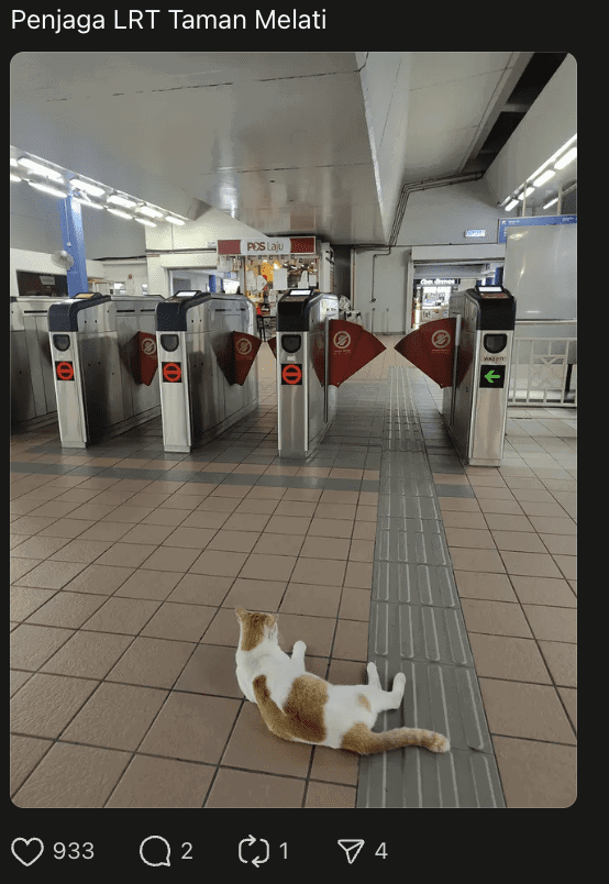 M’sians Spot Another Cat At LRT Taman Melati That Loves Watching Buskers Perform