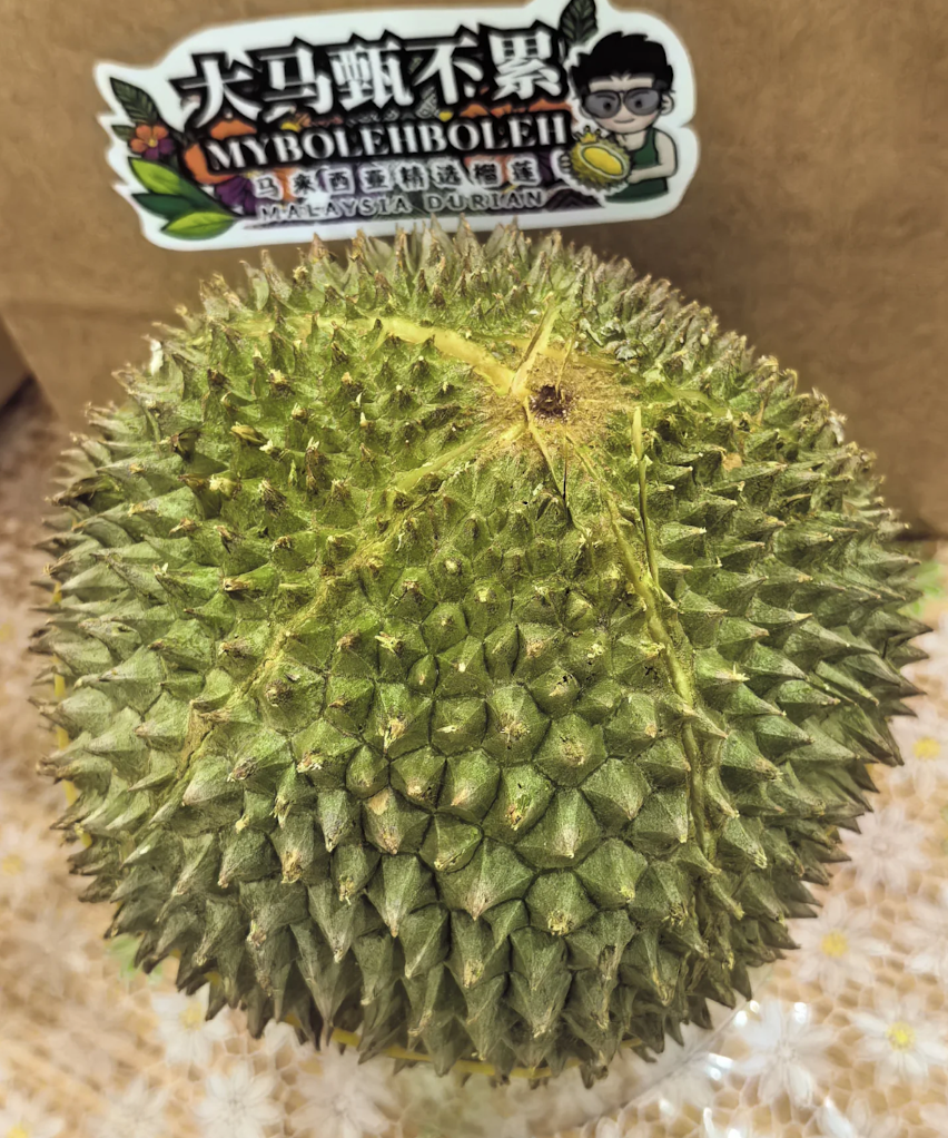 Musang King Durian In China, Exported from Malaysia 01