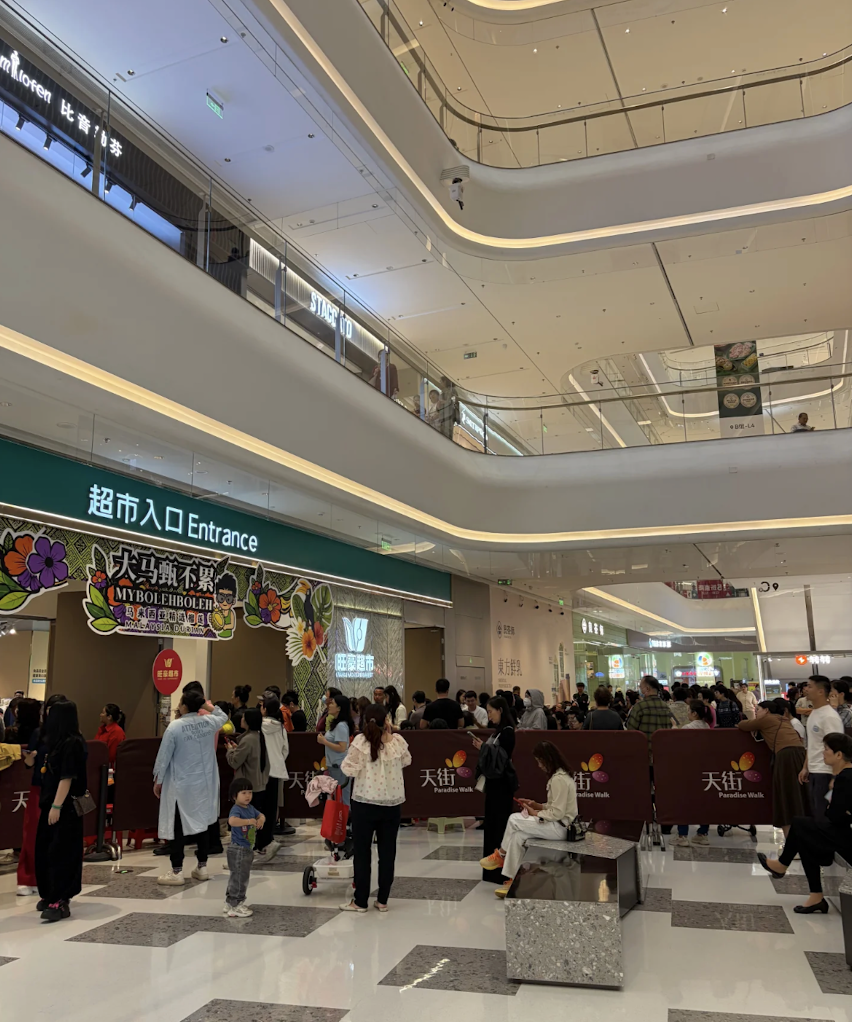 Musang King Durian In China, Exported from Malaysia 02