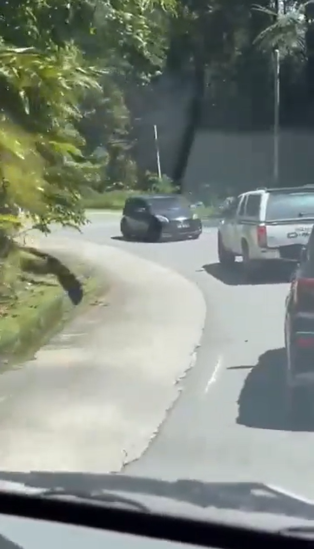 Myvi seen driving in reverse