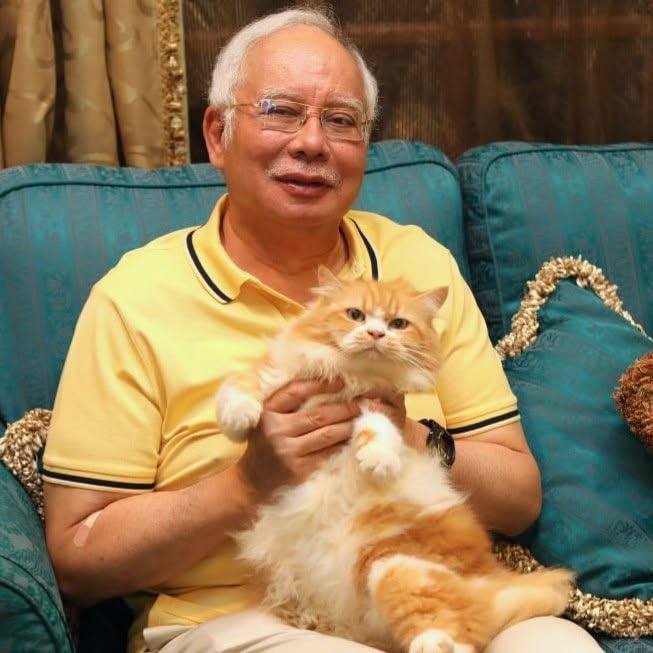 najib with cat