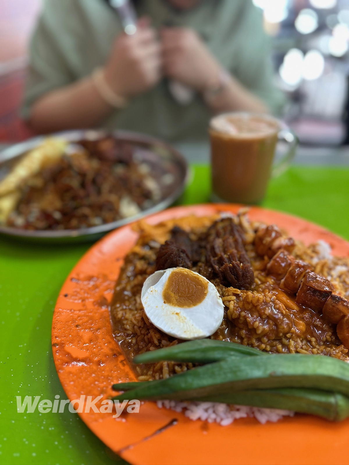 Nasi Kandar_Close Up_Malaysian Food