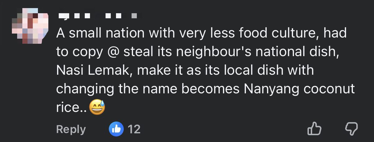M'sian Protest FB Page Calling Nasi Lemak 'Nanyang Coconut Rice' & Saying It Belongs To S'pore comment 3