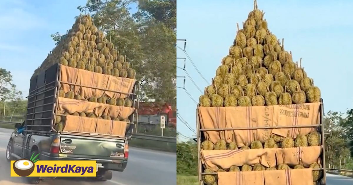 'm'sia could never! '- netizens amazed by truck carrying durian 'pyramid' in thailand | weirdkaya
