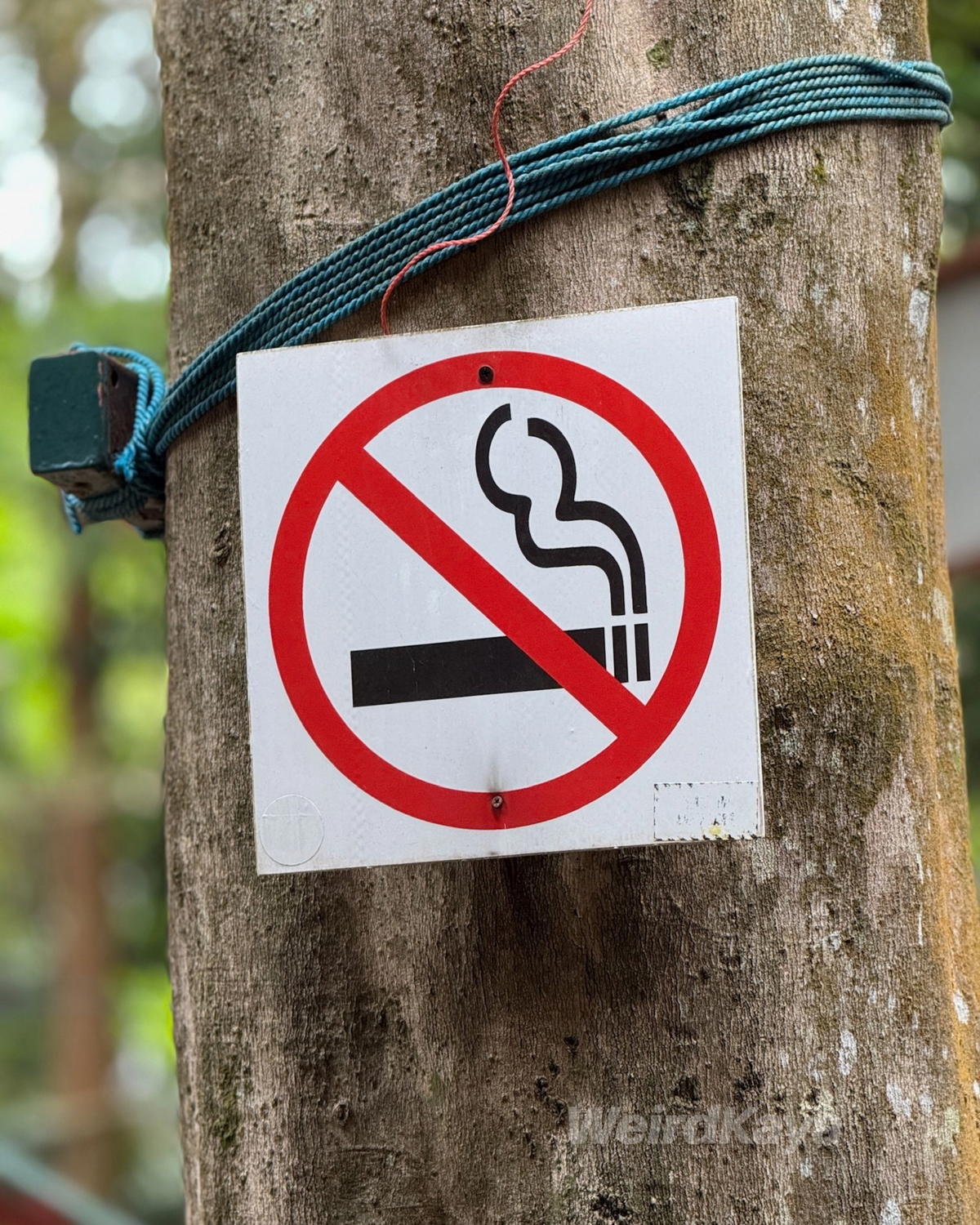 No Smoking Sign