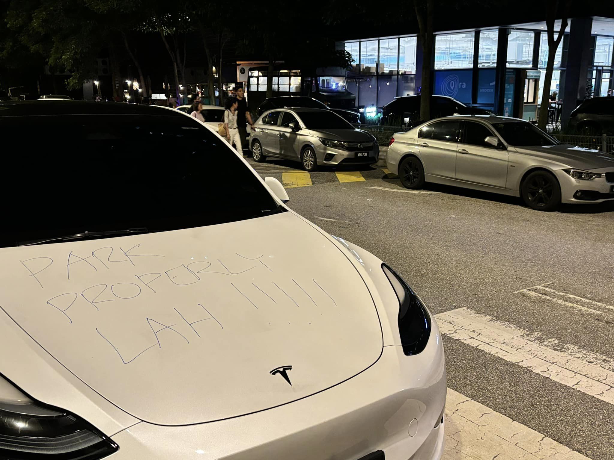 Park properly lah_tesla1