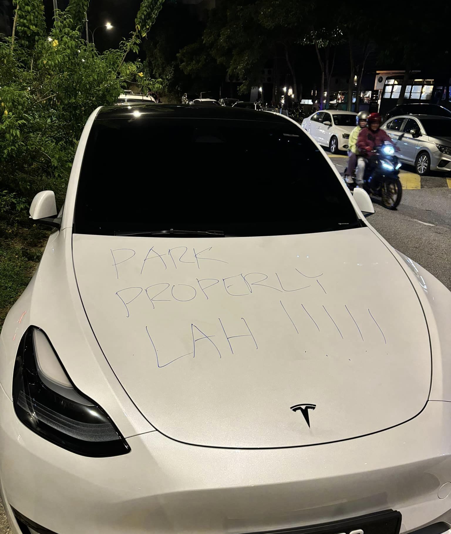 Park properly lah_tesla2