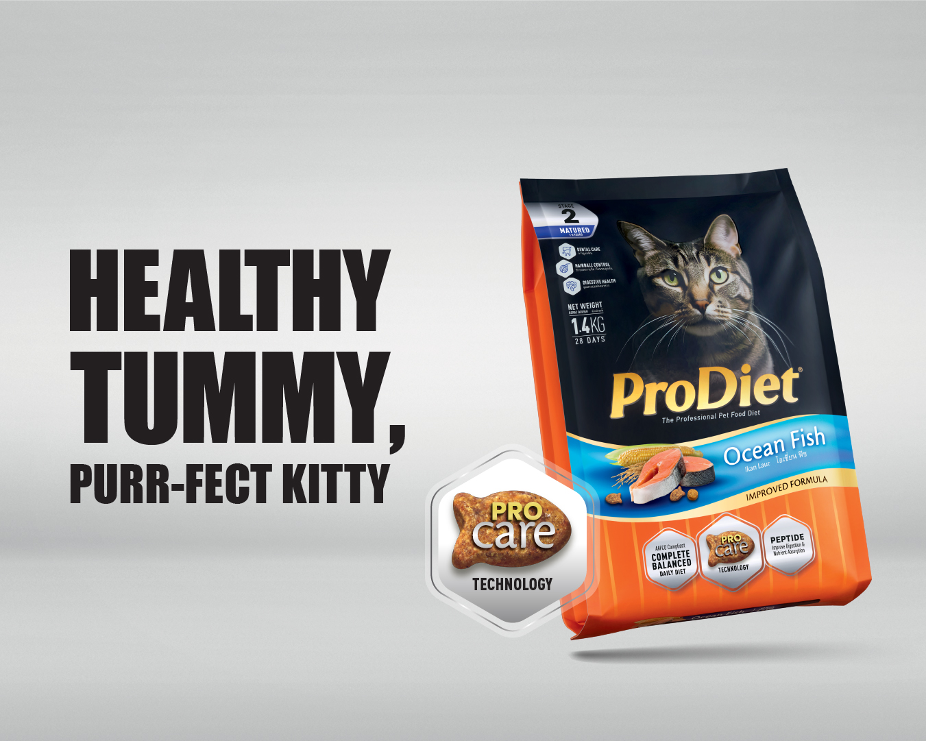 Flying cats? Here’s what’s happening and why your cat could be next - prodiet