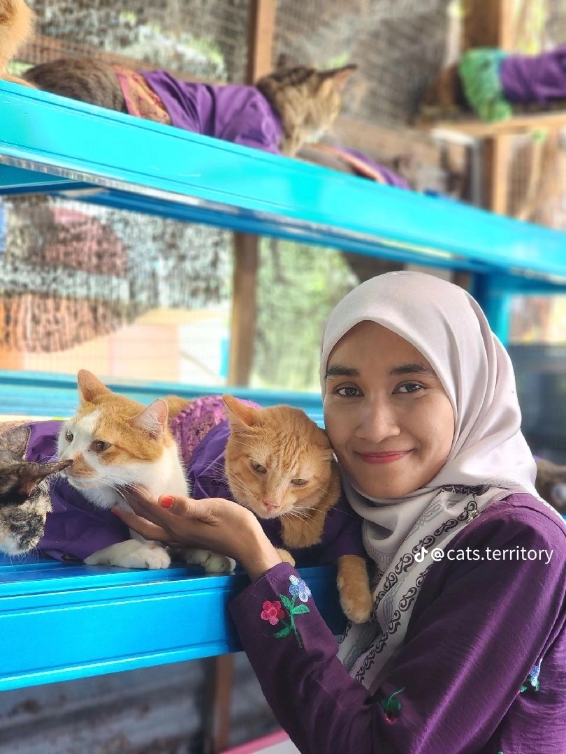 Penang woman makes matching raya outfits for her 61 cats and it's guaranteed to make you melt 5